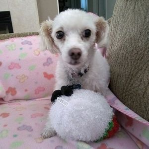 Meet your Posher, Linda